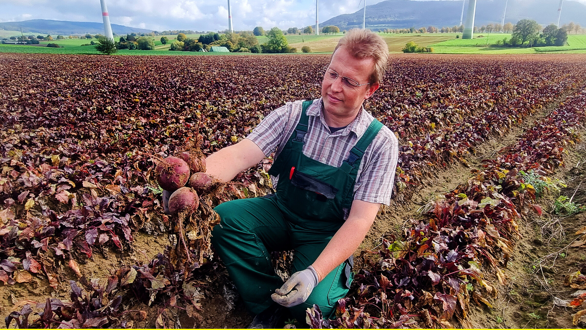 "Die Nordreportage: Ackern bis zum Frost": Kleine rote Knolle mit vielen Vitaminen. Landwirt Stephan Simmenroth ist mit der Ernte der Rote Bete nicht zufrieden. Ihm fehlen 12 Tonnen je Hektar.