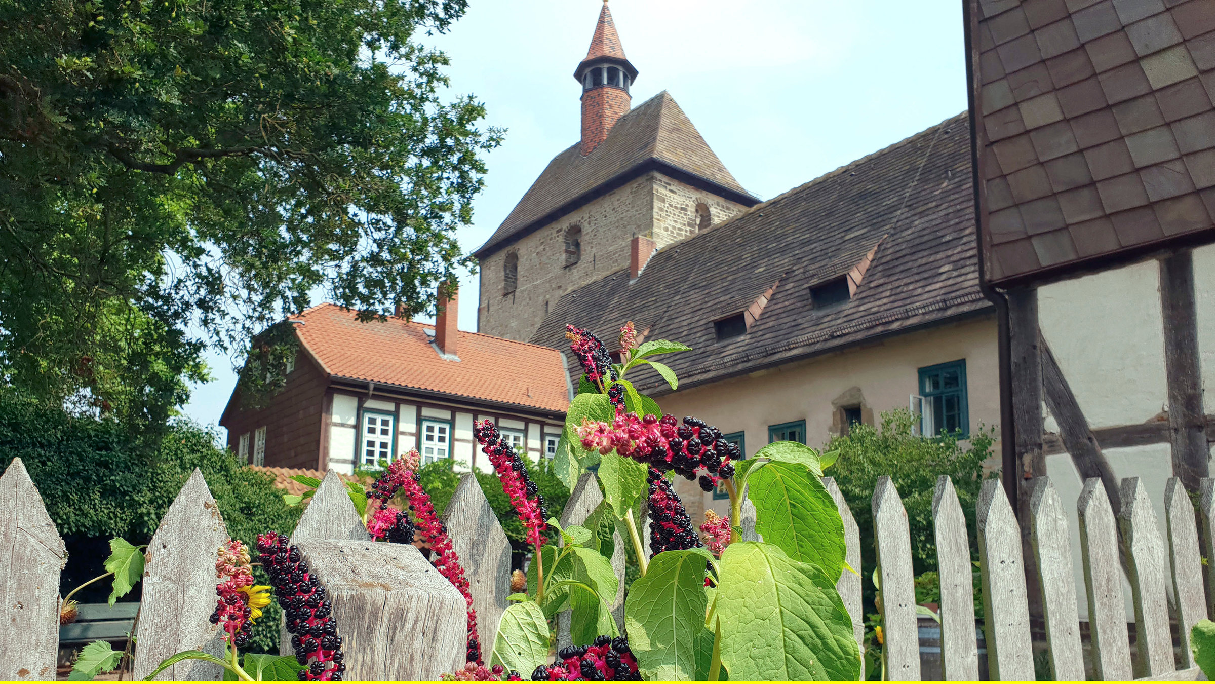 "Geheimnisvolle Klostergärten": Seit 1.000 Jahren wird der Garten des Stift Fischbeck bewirtschaftet. Jetzt sollen brach liegende Flächen nach historischem Vorbild umgestaltet werden.
