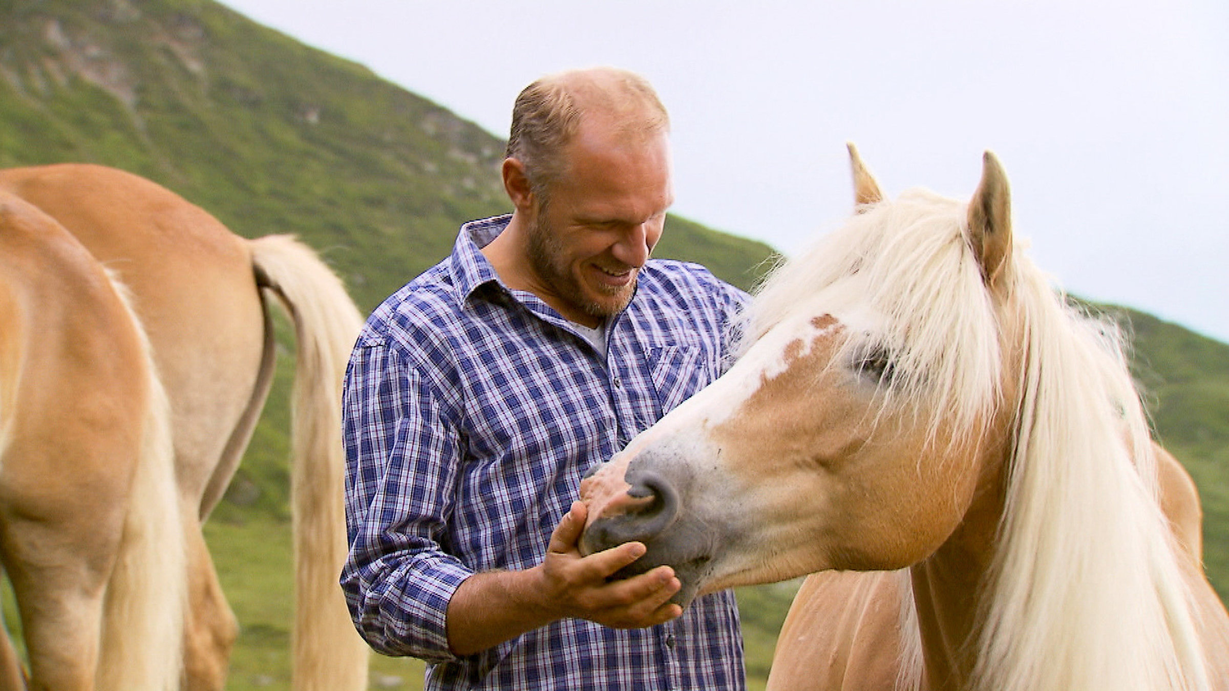 "Rund um den Hahnenkamm mit Hermann Maier" - Hermann Maier auf der Sintersbacher Hochalm mit Haflingern.