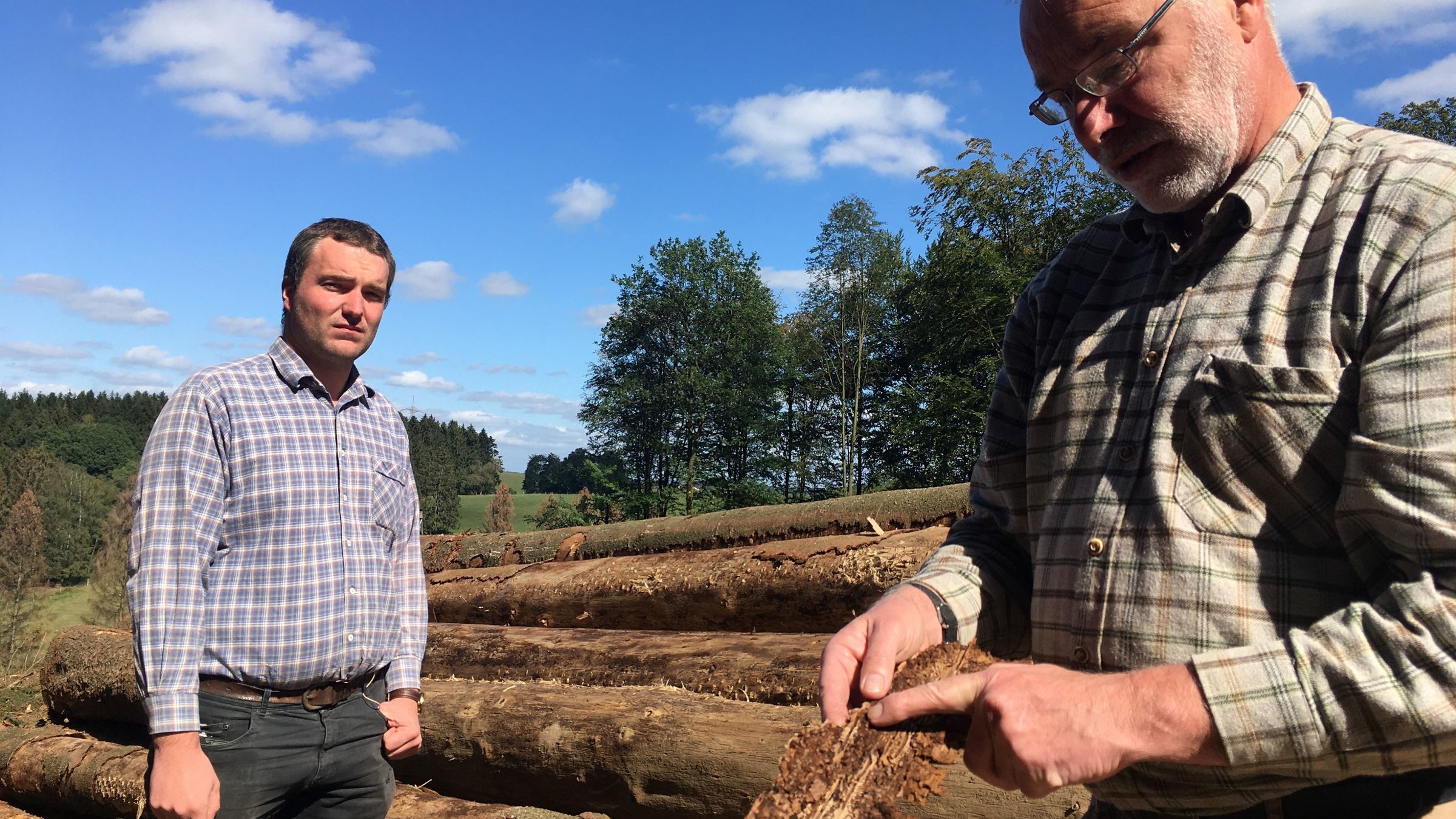 "37°: Grün bleibt unsere Hoffnung - Zwei Familien kämpfen um ihren Wald": Ein Mann prüft die Baumrinde, die mit Borkenkäfer befallen ist. Sein Sohn steht neben ihm. Im Hintergrund liegen große lange Baumstämme auf dem Waldboden.