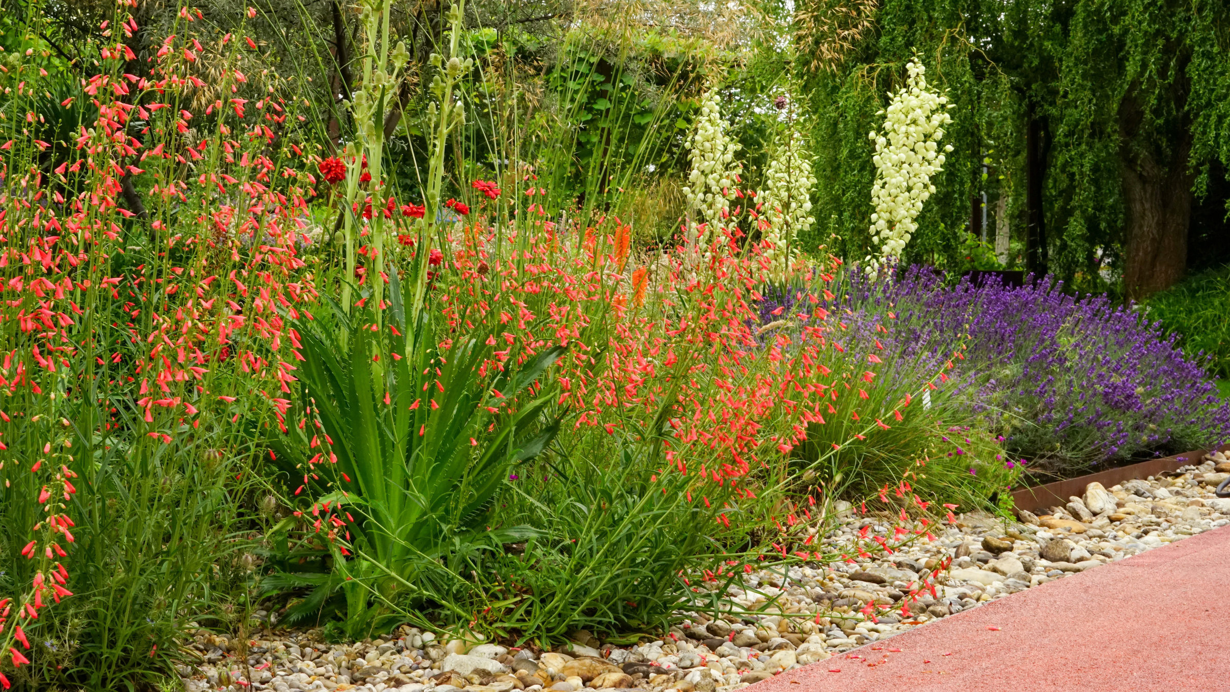 "Natur im Garten - Ein geschichtsträchtiger Familien-Garten im Burgenland": Kiesbeet anlegen - die Gärtnerinnen und Gärtner auf der Garten Tulln haben die Tipps und Tricks.