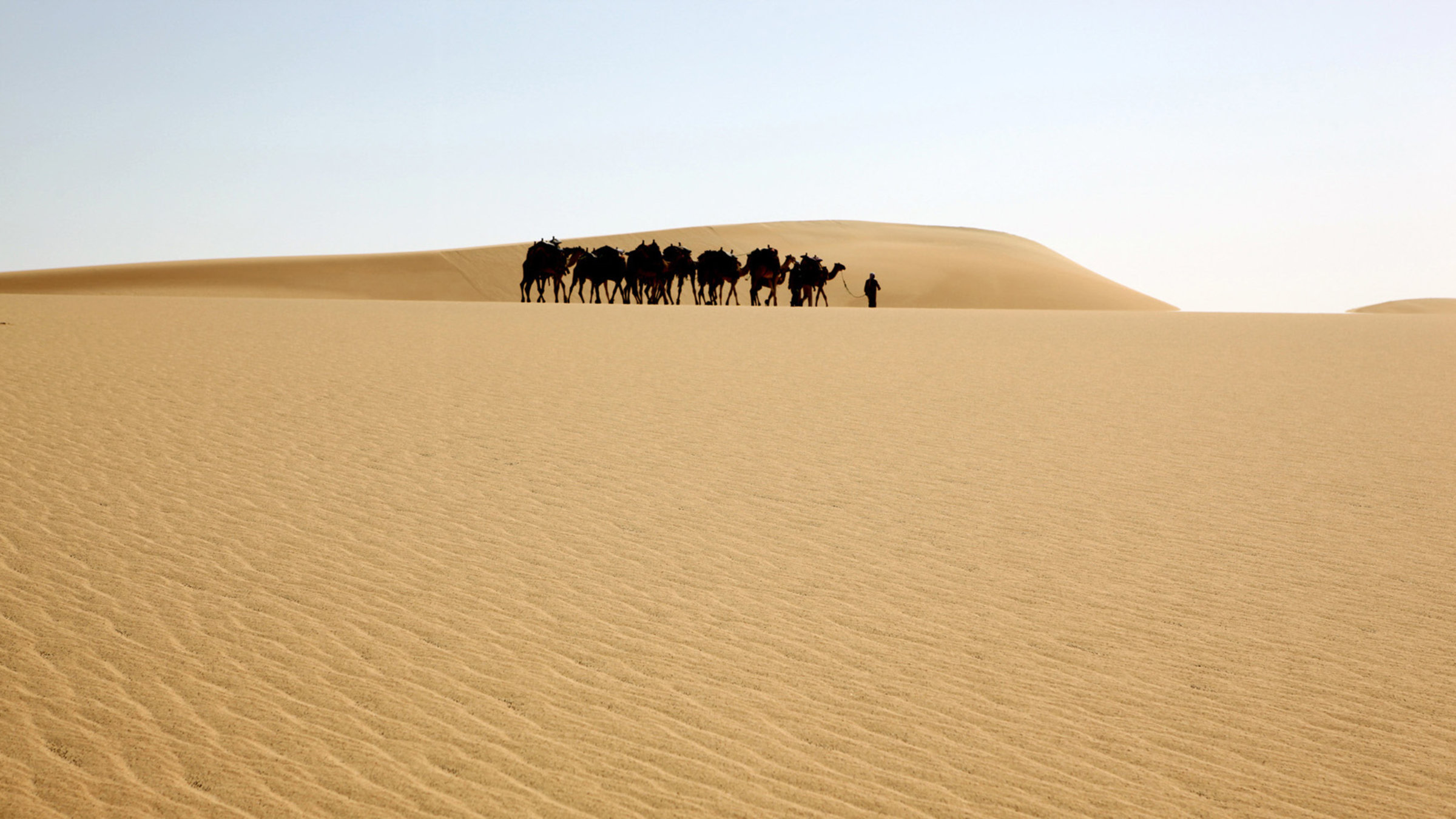 "Die Farben der Wüste: Die gelbe Sahara" - Die Karawane des Teams