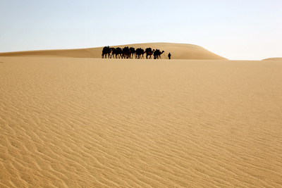 Die Farben der Wüste (1/3)