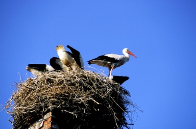 Waldviertel - Vom Zauber des rauen Landes