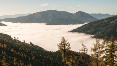 Roseggers Waldheimat - Ein Jahr im Zauberwald