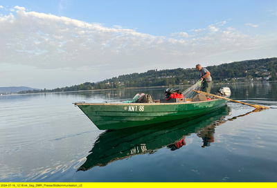 Ein Sommer am Bodensee