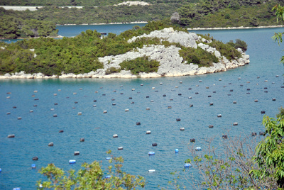 Traumschlösser und Ritterburgen - Dubrovnik