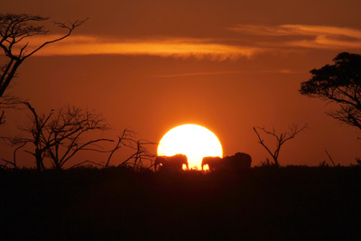Juwel der Elefantenküste - Afrikas Wunderland Isimangaliso