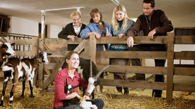 Bauernprinzessin - In der Zwickmühle