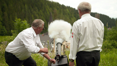 Steirischer Almsommer in der Lipizzanerheimat