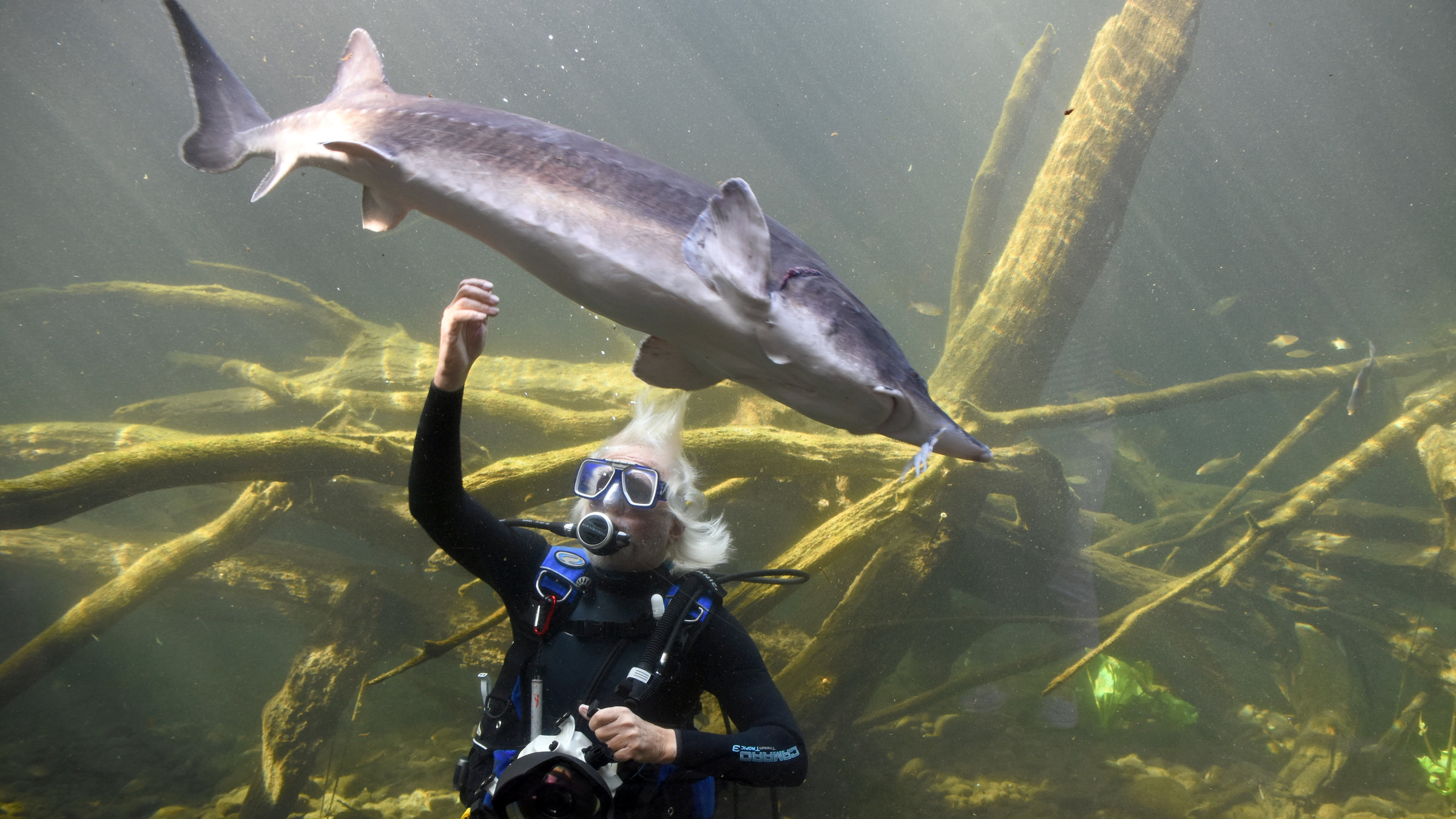 "Abenteuer Schönbrunn - Wo sich Eisbären und Löwen zu Hause fühlen":  Erich Pröll