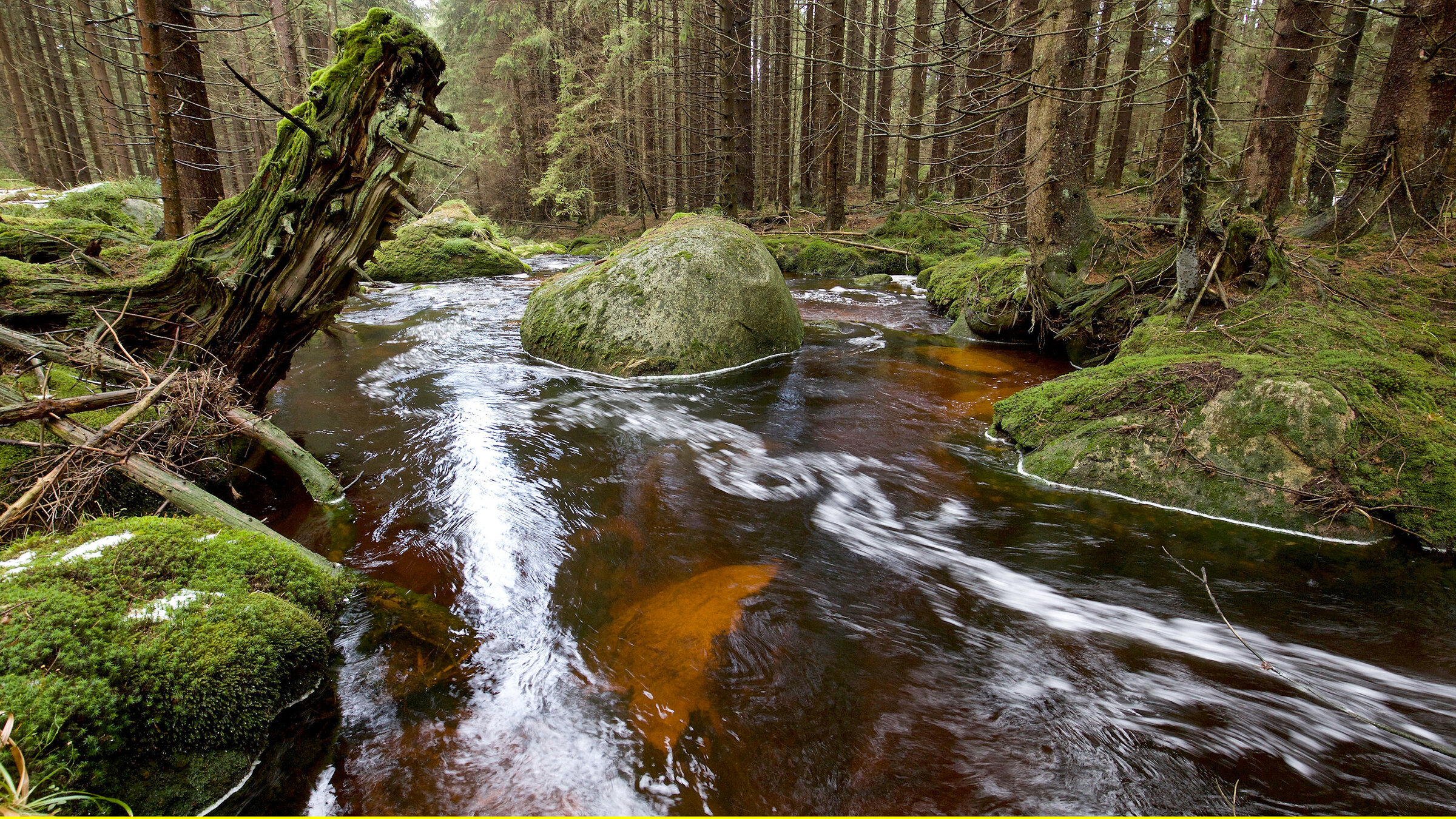 "Der Harz - Felsenreich und Wasserwelten": Der Harz ist reich an Niederschlägen, die zahlreiche Waldbäche und Gebirgsflüsse füllen.