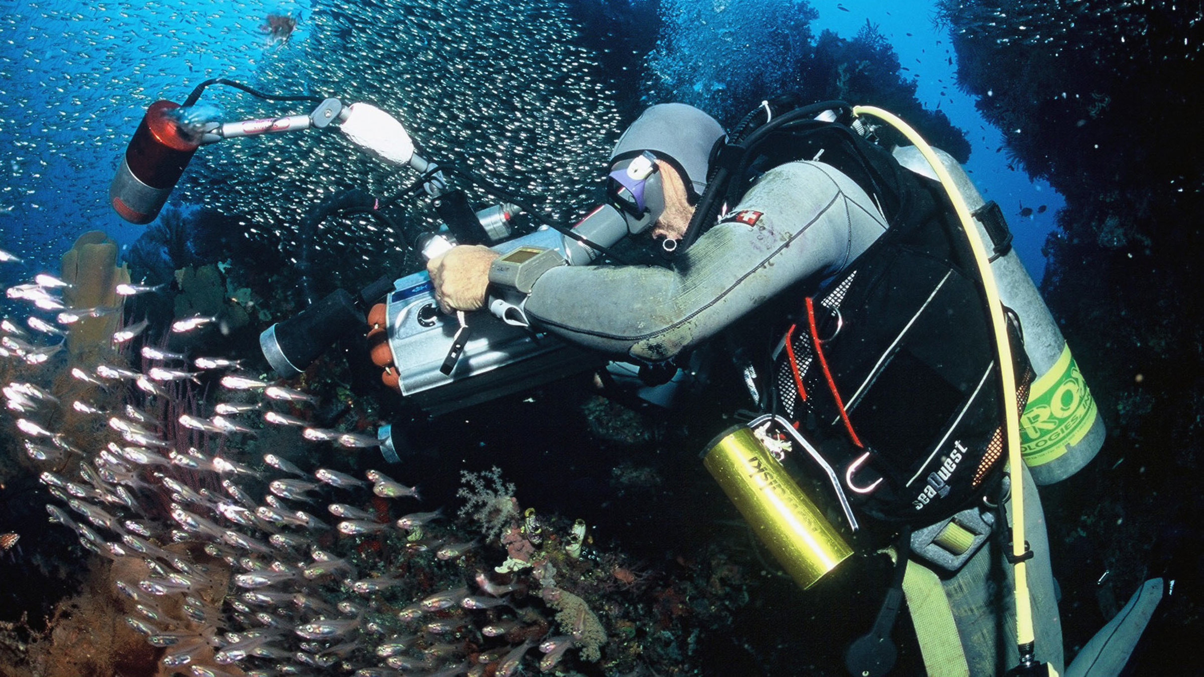 "Edis Paradies: Ein Schweizer Taucher in der Wildnis" - Vor Irian Jaya, Indonesien  - Der Schweizer Taucher Edi Frommenwiler filmt die skurrilsten Tiere in den artenreichsten Riffen der Welt.