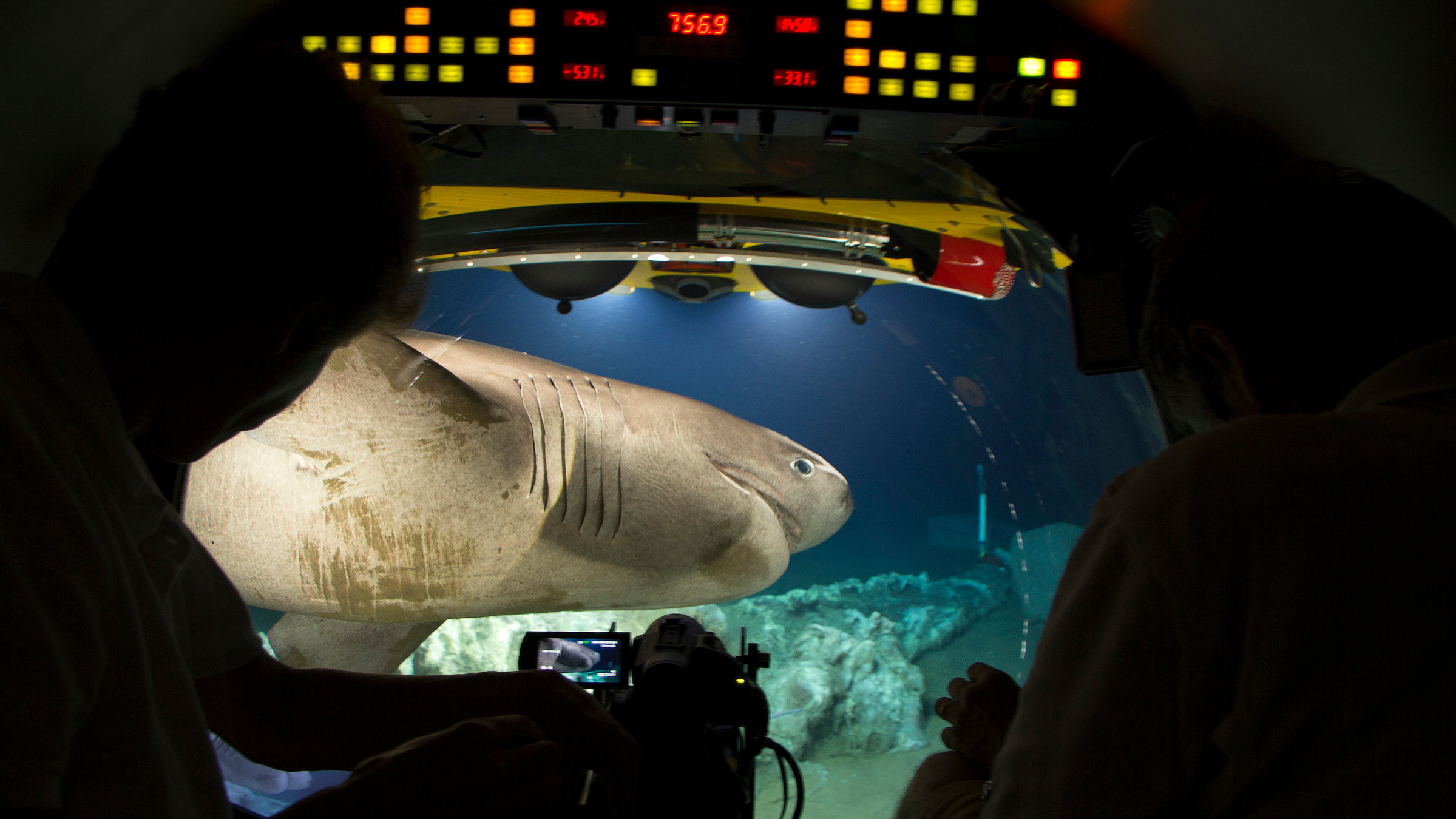 "Der Blaue Planet: Leuchtende Tiefsee":