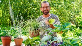 Natur im Garten (2/10)