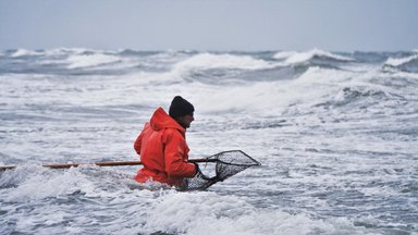 Zdf.reportage - Winter Auf Hiddensee