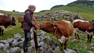 Sommer auf der Augstwiesalm
