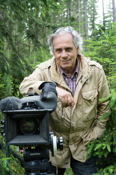 Die geheimnisvolle Welt der Bäume