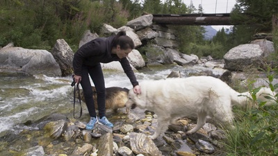 Schweizer Flussgeschichten - Am Ticino