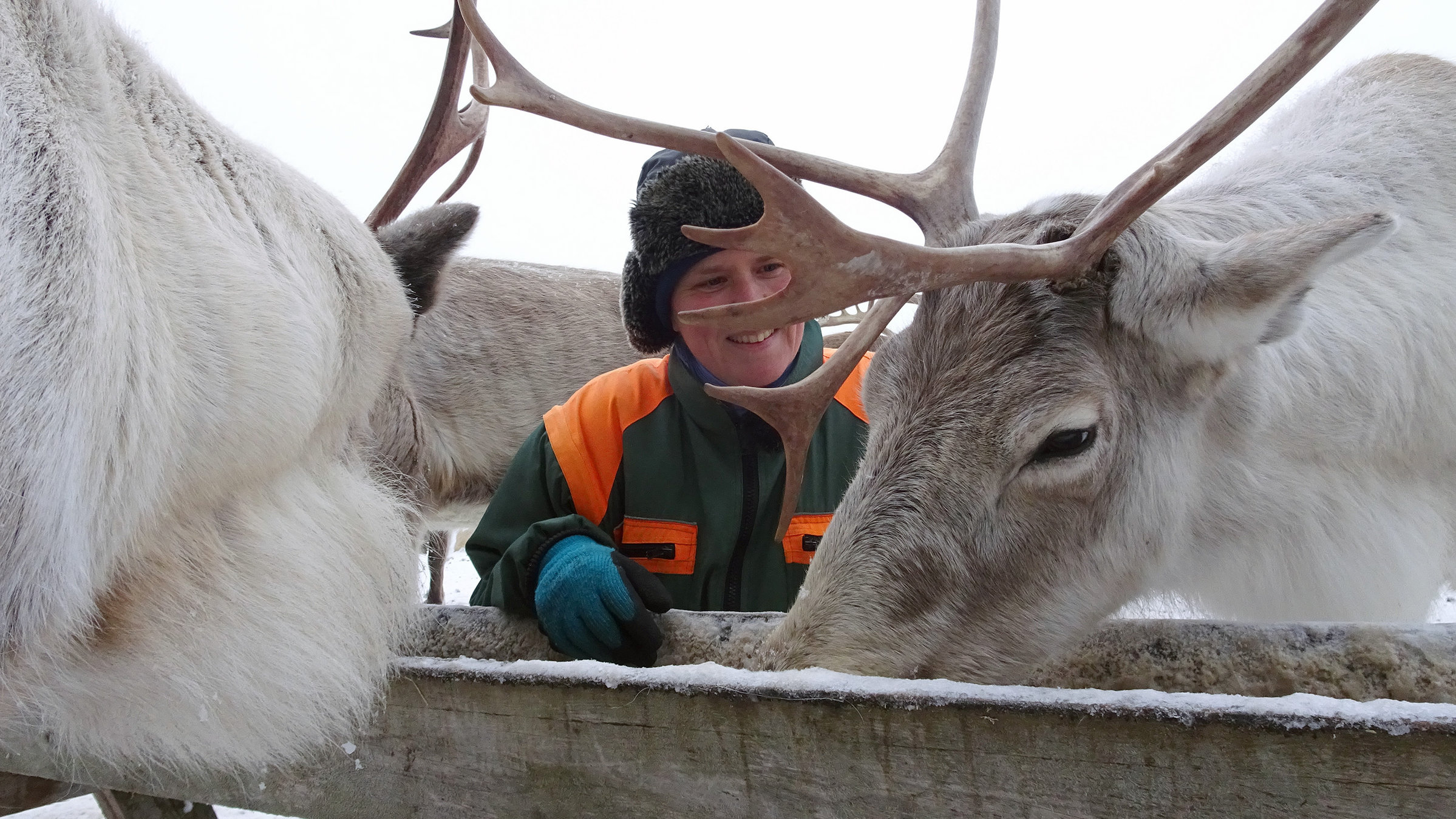 "Nordische Tiergeschichten": Die deutsche Rentierzüchterin Christina Loether mit Rentier