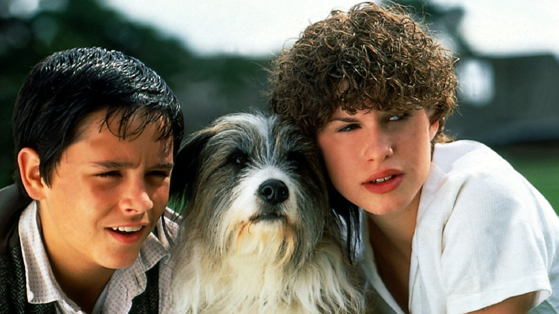 "Fünf Freunde und ein Gipsbein (1)": Sniffer (Lee Turnbull), Timmy und George (Jemima Rooper) gucken alle in eine Richtung und haben ihre Köpfe nah beieinander.