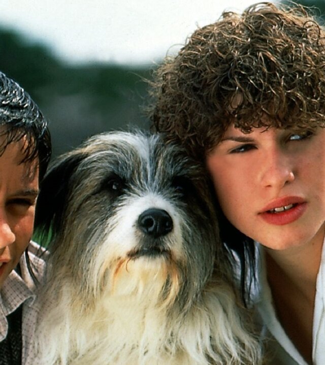 "Fünf Freunde und ein Gipsbein (1)": Sniffer (Lee Turnbull), Timmy und George (Jemima Rooper) gucken alle in eine Richtung und haben ihre Köpfe nah beieinander.