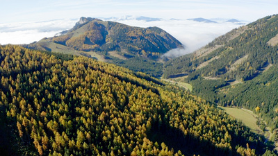 Das neue Tor ins Almenland - Naturwelten Steiermark