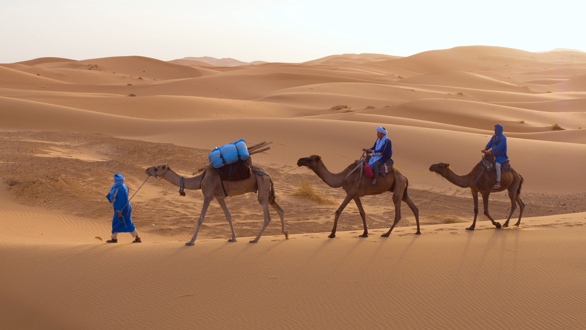 "Afrika: Kontinent der Vielfalt - Tradition und Moderne": Dromedare und Menschen in der Sahara-Wüste.