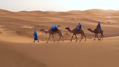 Afrika: Kontinent der Vielfalt (3/3)
