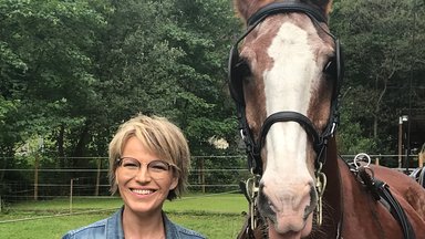 Sonntags - Tv Fürs Leben - Kleine Juwelen - Urlaub In Deutschland In Zeiten Von Corona