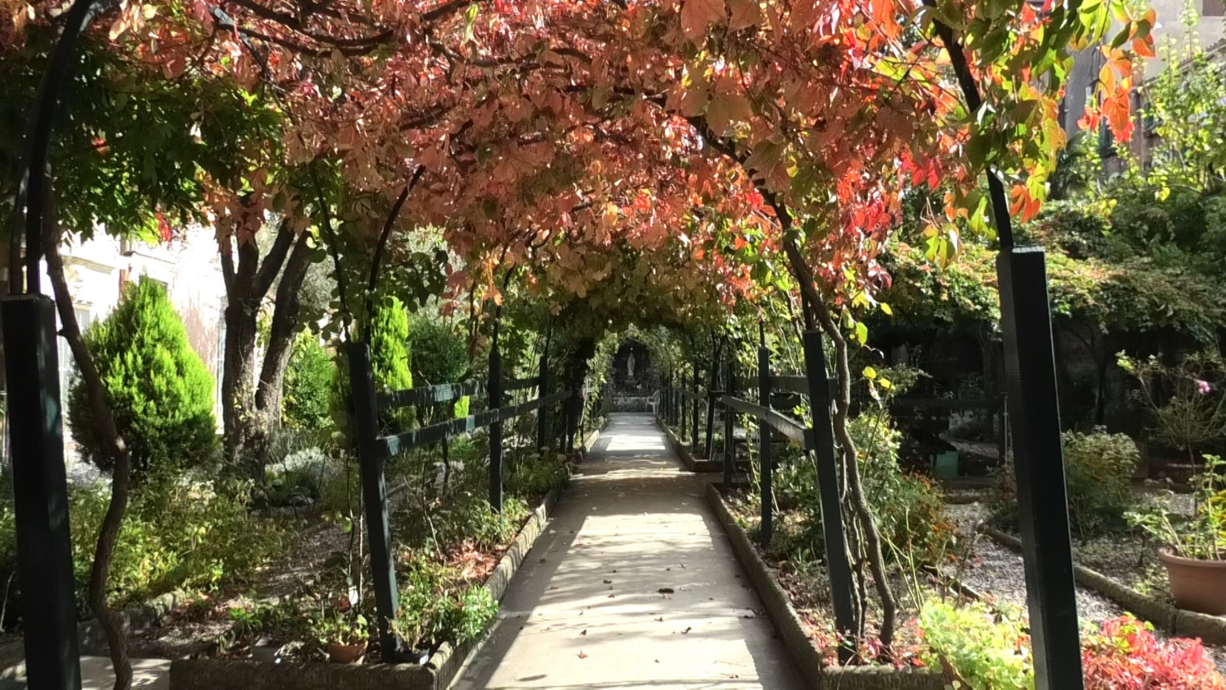 "Venedigs Gärten und die Habsburger": Klostergarten im Herbst.