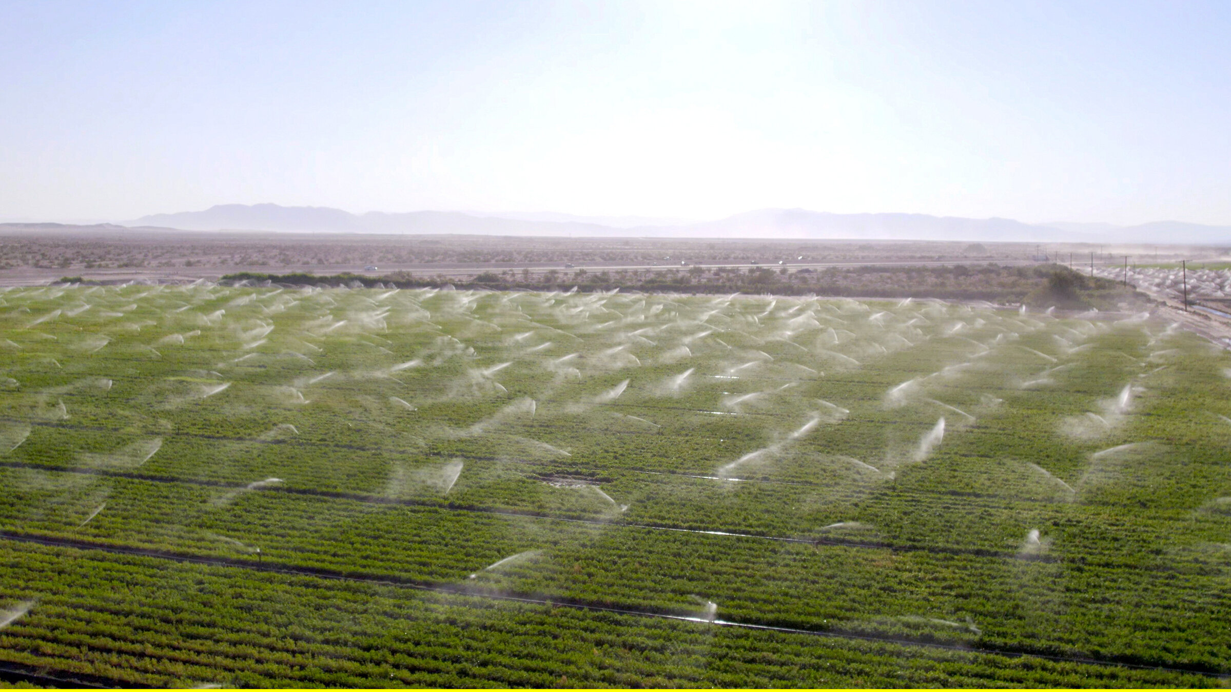 "Durst - Wenn unser Wasser verschwindet (1/2 und 2/2)": Mitten in der kalifornischen Mohave-Wüste werden Milliarden Liter Wasser für die Beregnung von Feldern benutzt. Dabei wird hauptsächlich Heu als Tierfutter für den Export nach China gezüchtet.
