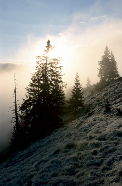 Der Prinz der Alpen