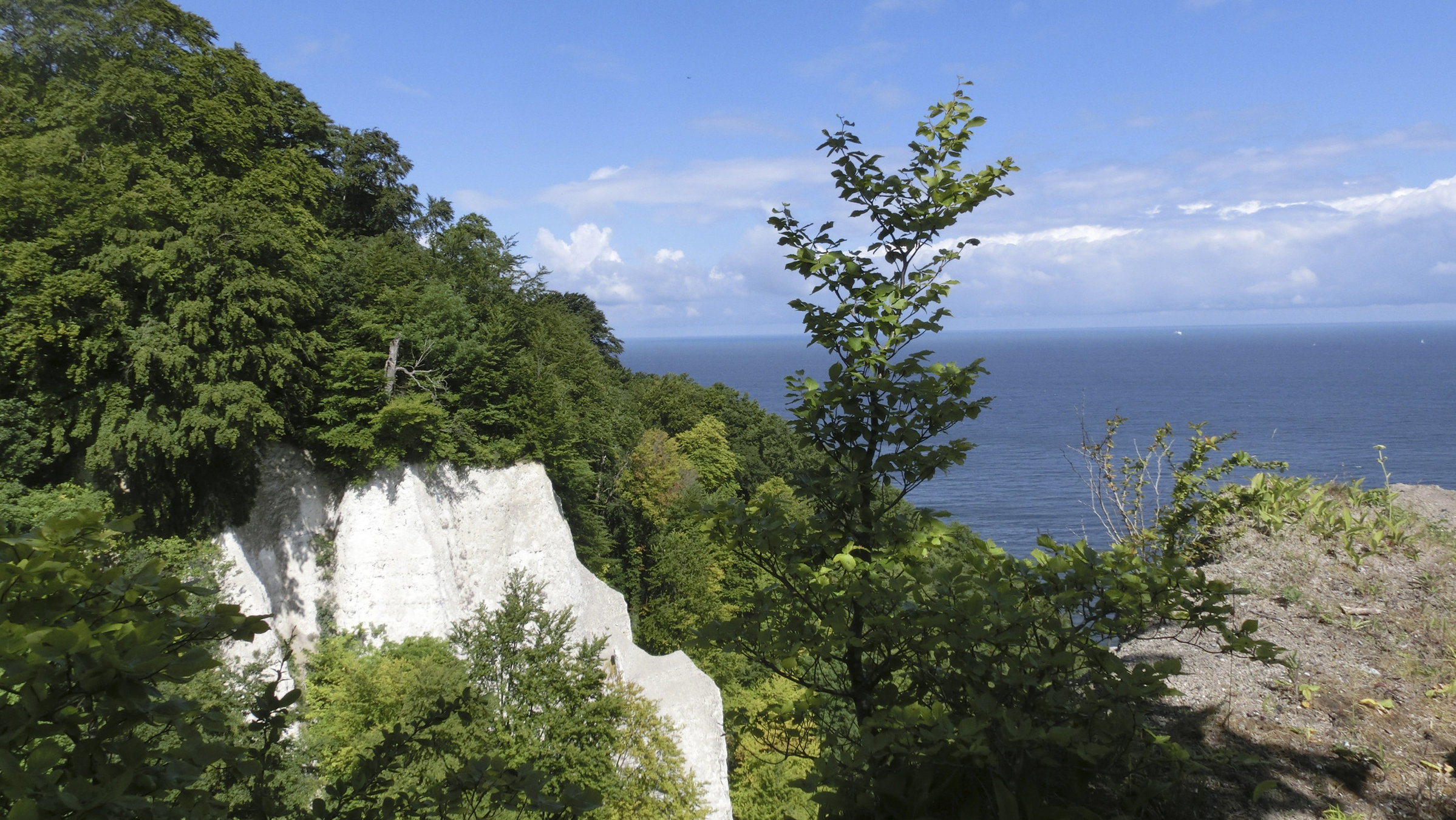 "Rügen entdecken": Kreidefelsen auf Rügen.