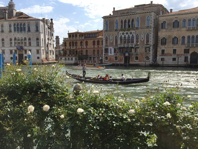 Die geheimen Gärten von Venedig