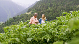 Mein Garten, mein Paradies - Ein Blick in Südtirols<br/>private Gärten