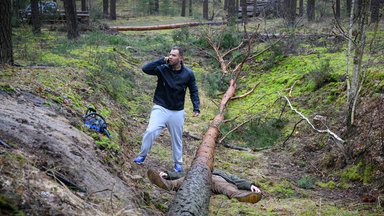 Soko Wismar, Soko, Serie, Krimi - Holz Fällt!