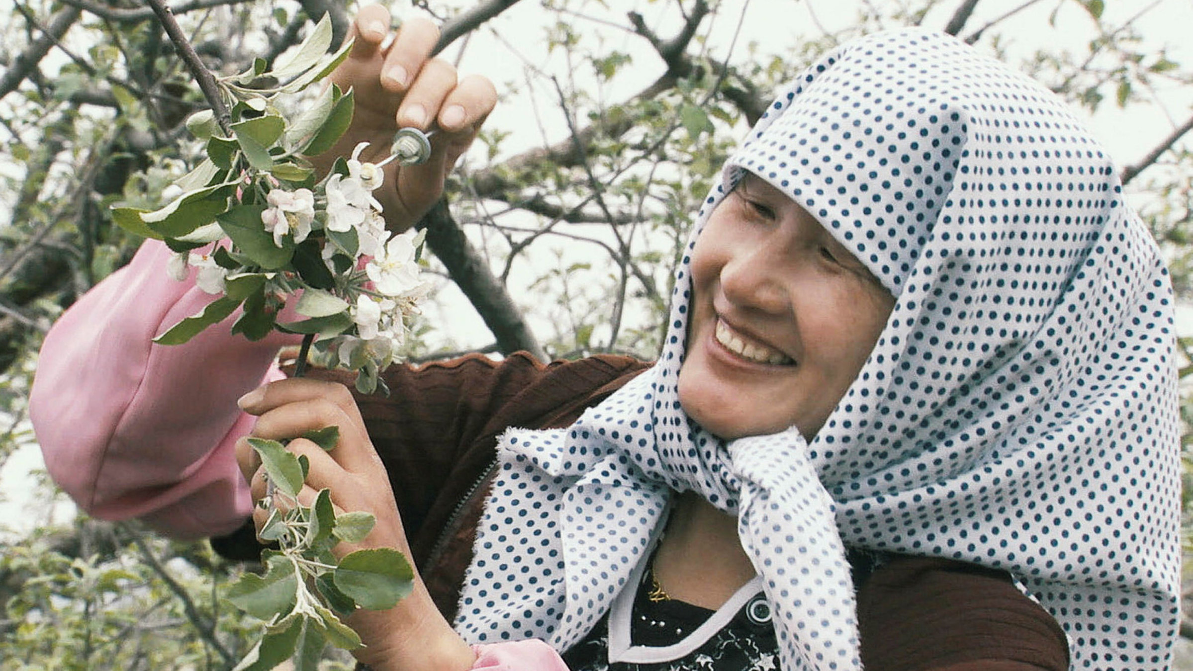 "More than Honey": Chinesin bei der Handbestäubung.