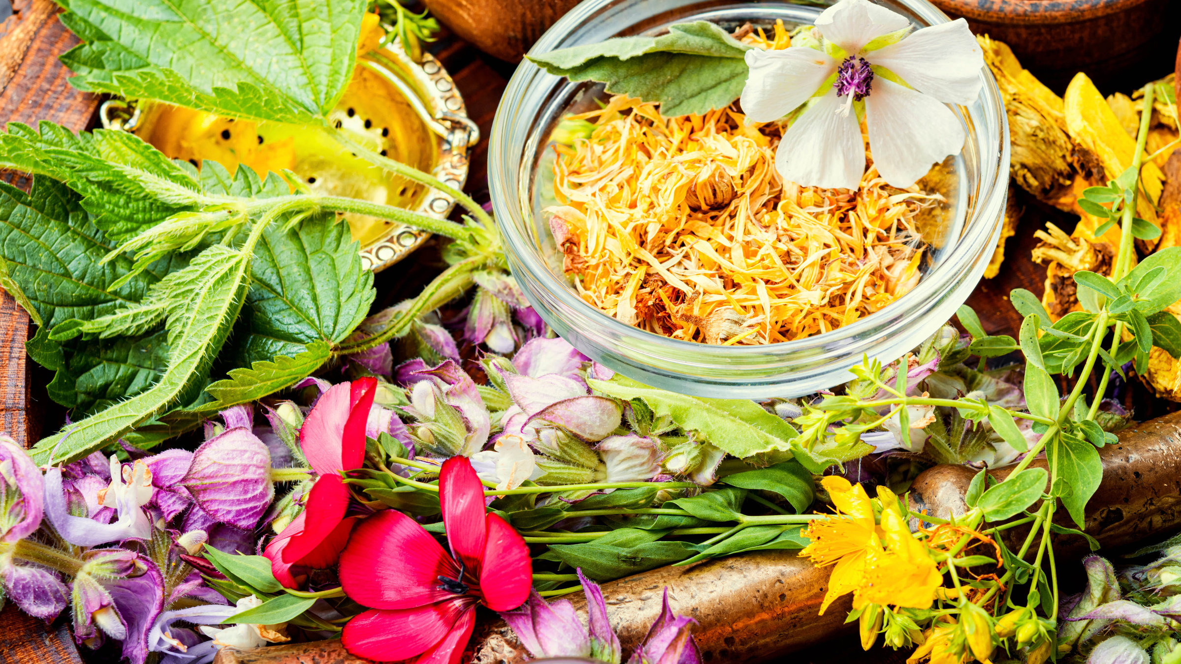 "Mit Kräutern gesegnet - Das Kärntner Gurktal blüht auf": Kräuter, Heilkräuter von Biobauern.