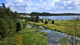 Eine Reise durch Niederösterreichs Naturparke -<br/>Von wilden Tieren, Mooren und Ruinen