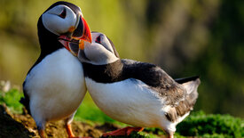 Großbritannien - Im Rhythmus der Natur