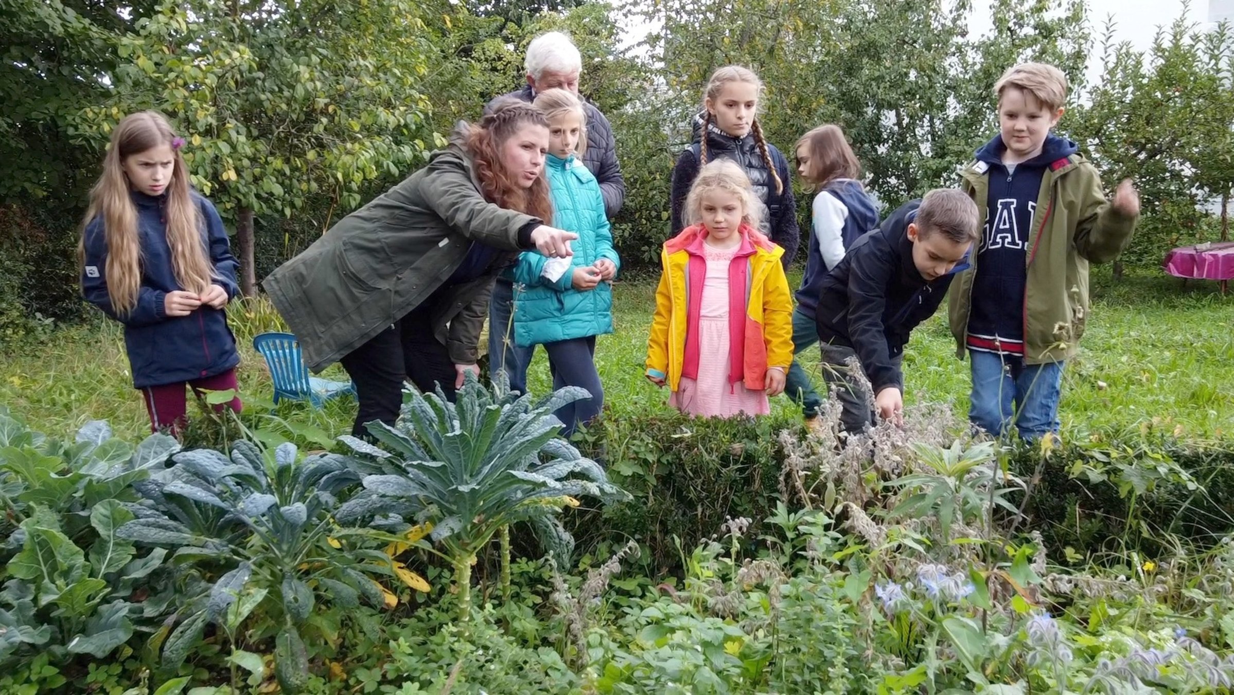 "plan b: Zwischen Wald und WLAN- Revolution im Klassenzimmer": Schulkinder und Lehrpersonal stehen vor einem Beet hinter einer Baumreihe.