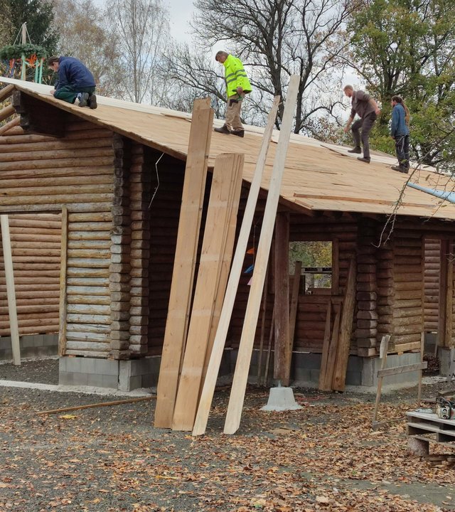 "Terra Xpress: Holz - das grüne Gold": Vier Männer stehen auf dem Dach eines Holzhauses und sind dort am Arbeiten. Das Haus steht mitten im Grünen, umringt von Bäumen.