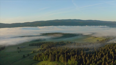 Wilde Schweiz: Waadtländer Jura