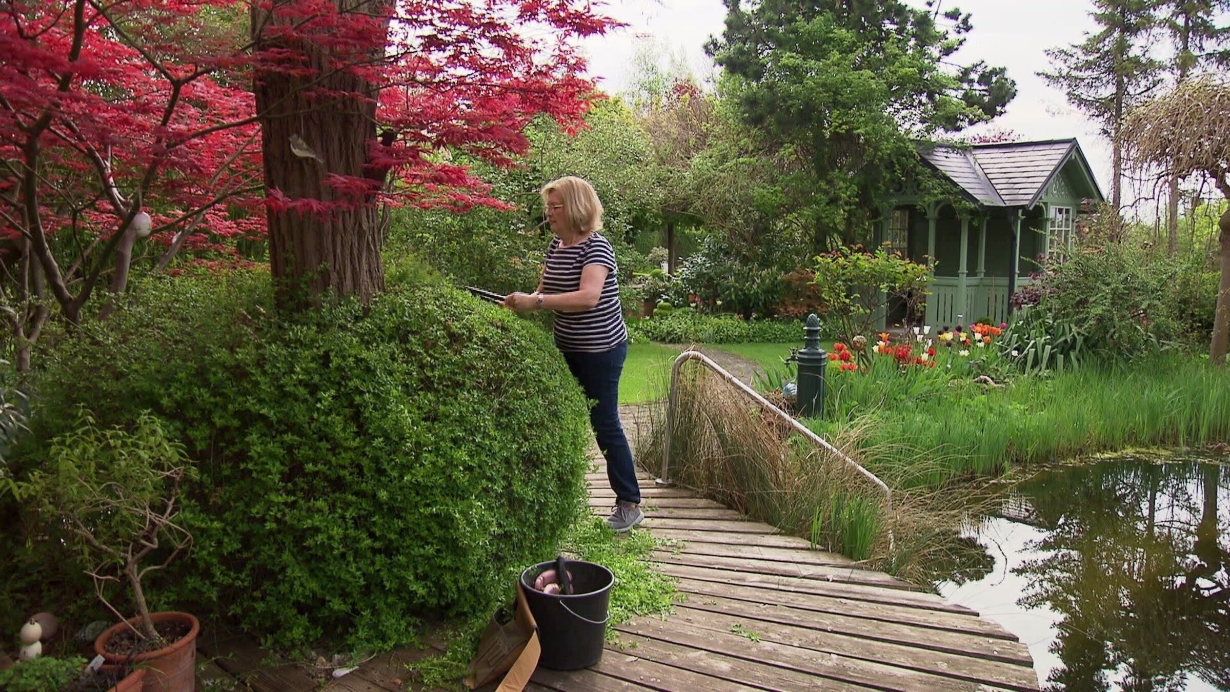 "Sehnsucht nach Natur - Garteln als Trend und Geschäft":  Garten am Land der Familie Hackl in Mistelbach.