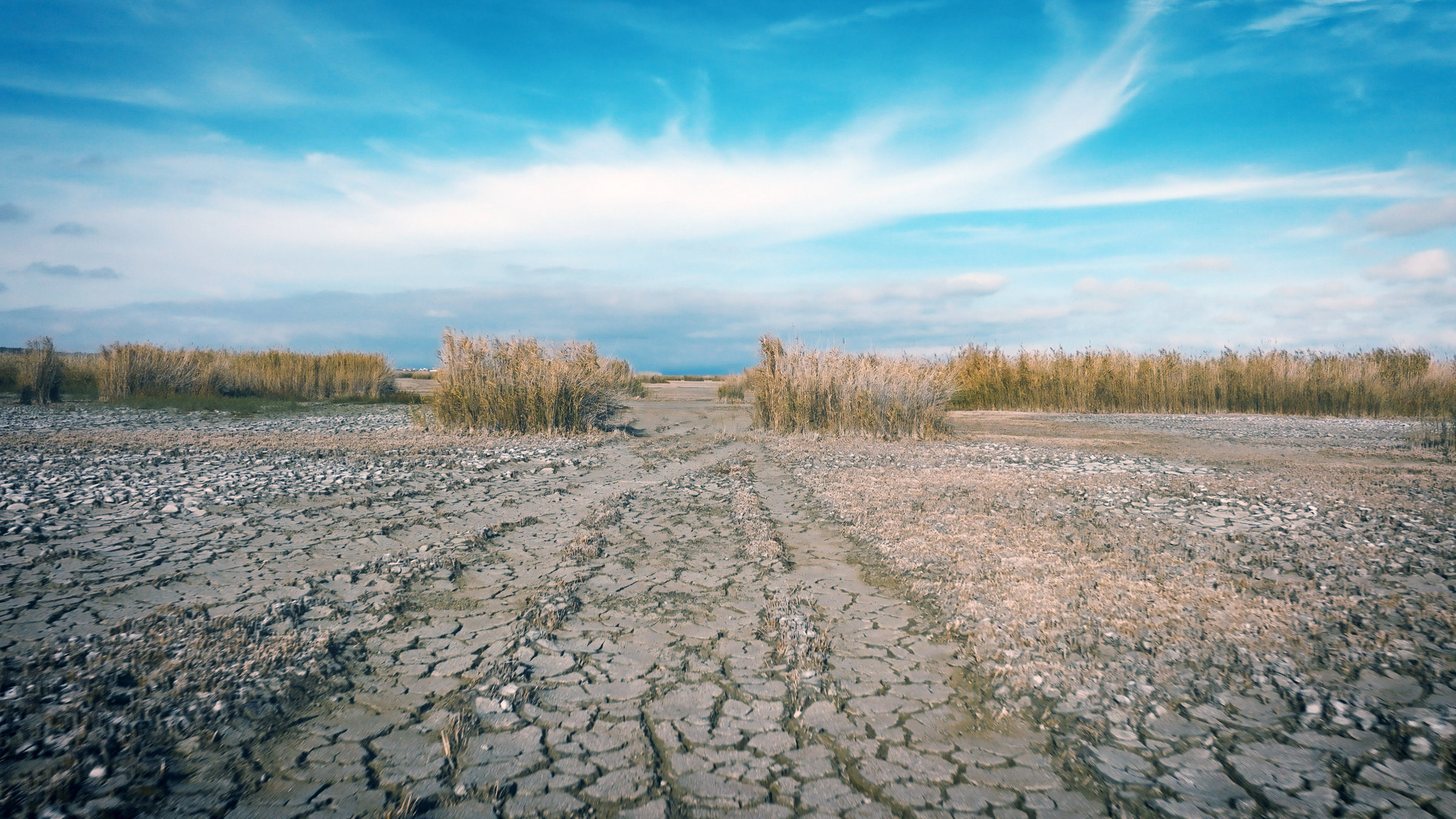 "Jeder Zentimeter zählt - der drohende Tod des Neusiedlersees": Trockenheit im Oktober in Mörbisch.