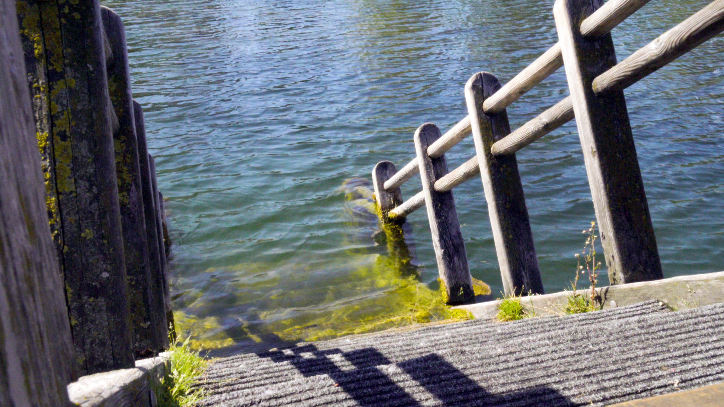 "Wiener Wässer - Die Alte Donau": eine Stige ins Wasser