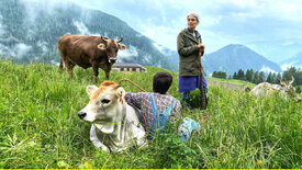 Von Südtirol an den Gardasee