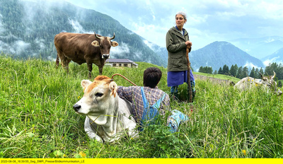 Von Südtirol an den Gardasee