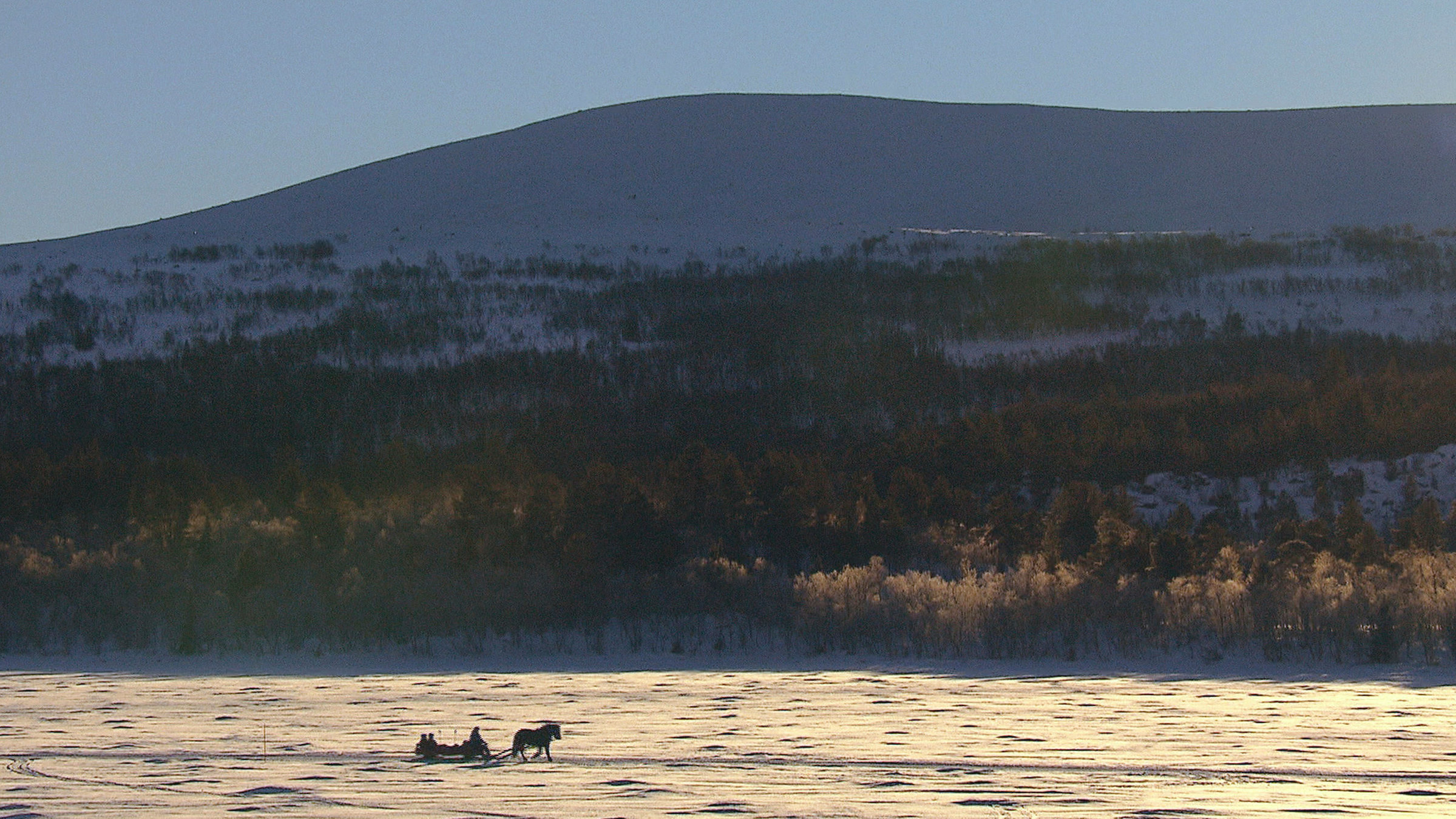 "Winterzauber": Mit dem Schlitten zum Weihnachtsbaum schlagen - Winterliche Freuden im vorweihnachtlichen Schweden.
